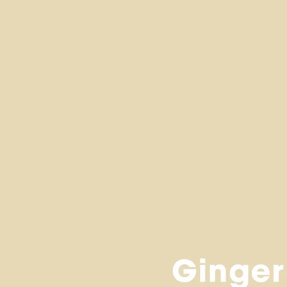 Store Muurverf Professional Ginger - 1 L Muurverf