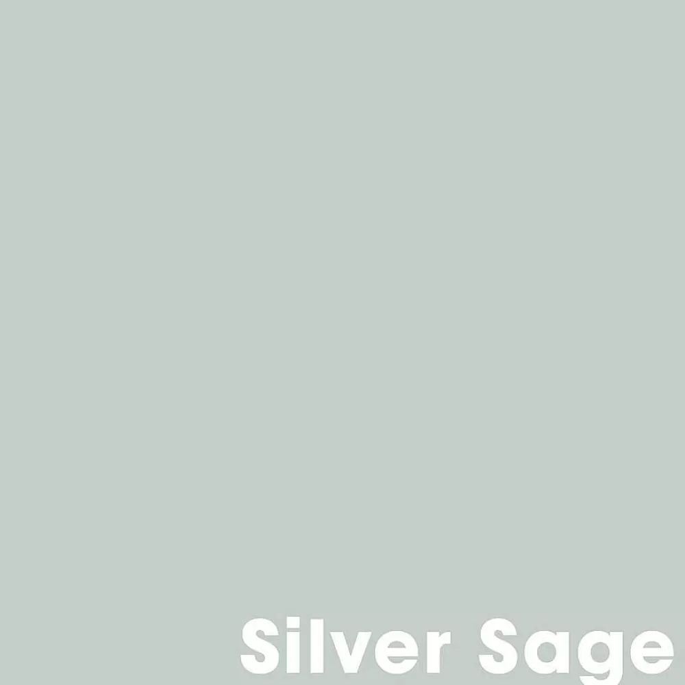 Outlet Muurverf Professional Silver Sage - 1 L Muurverf